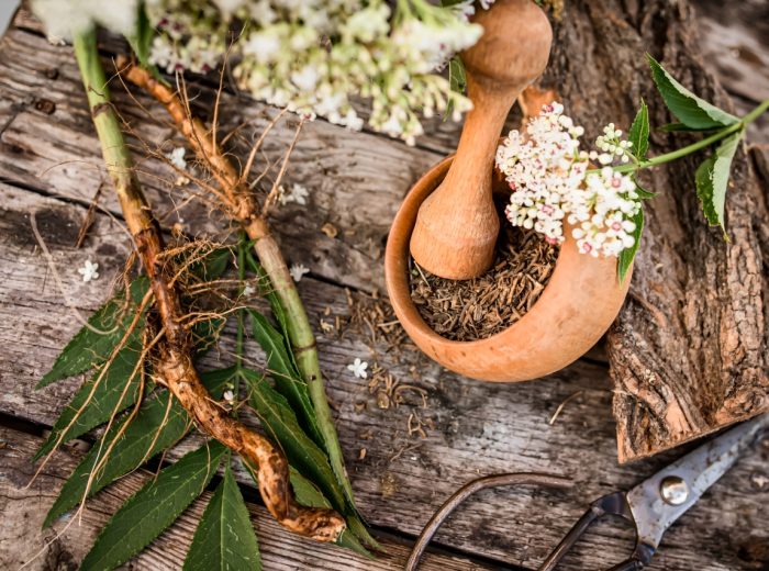Ghana Herbal Conference